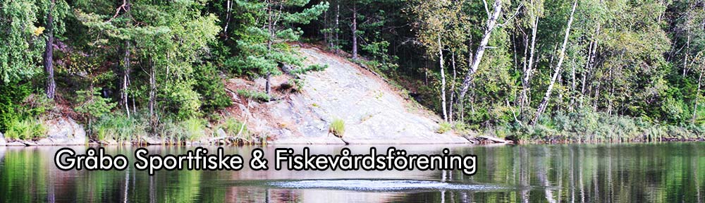 Gråbo Sportfiske & Fiskevårdsförening